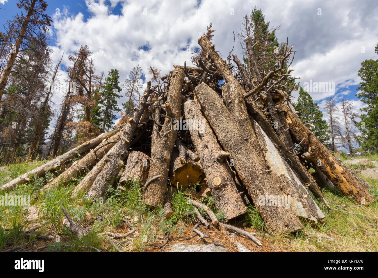 Holzstapel Stockfoto