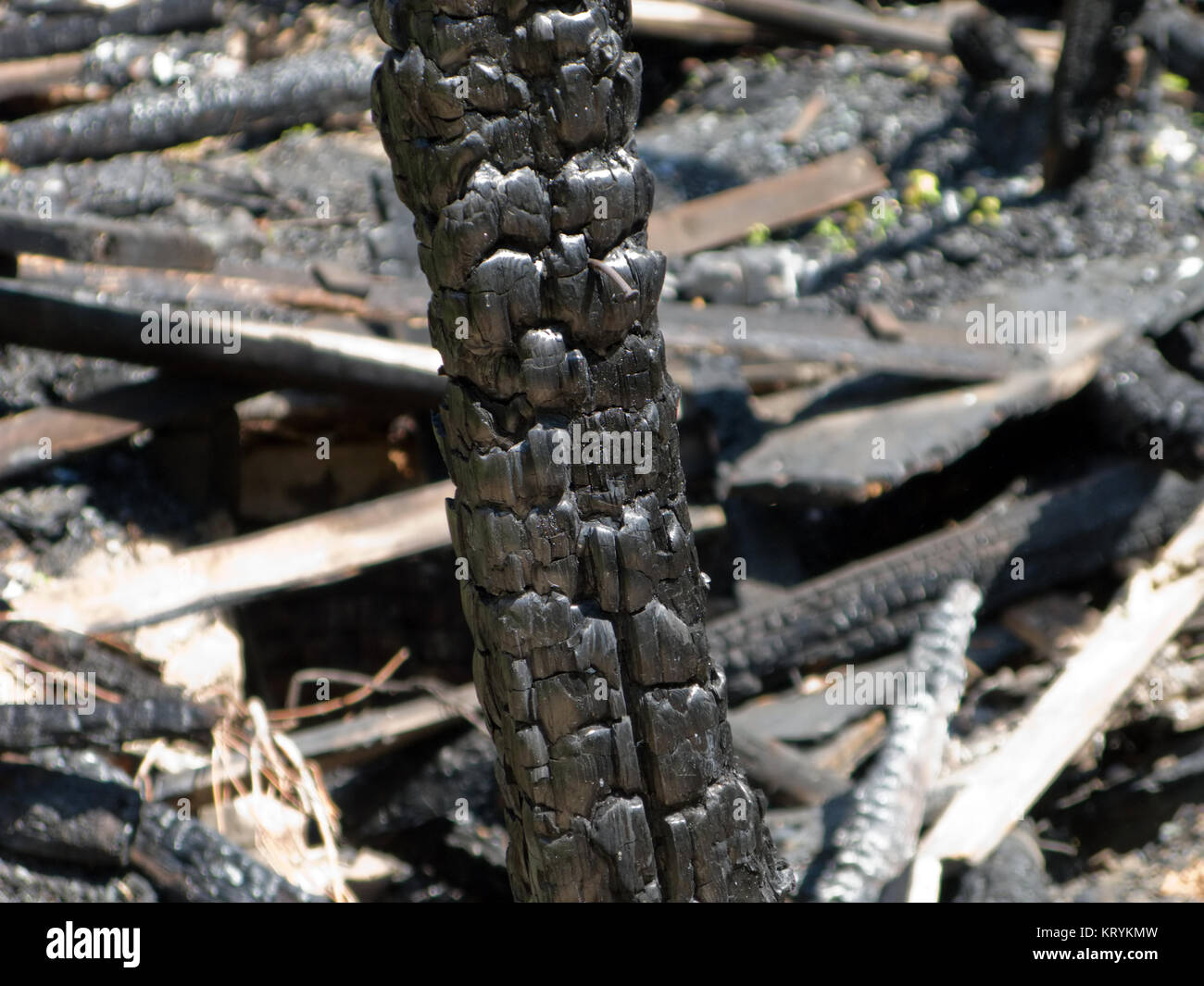 Holz haus durch Feuer zu Steinkohle verbrannt Anmelden ruiniert