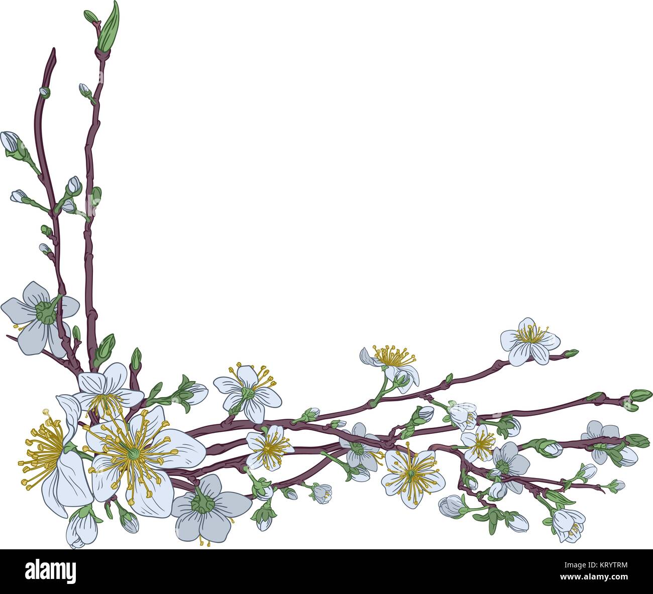 Pfirsich Cherry Blossom Blumen Ecke Design Stock Vektor