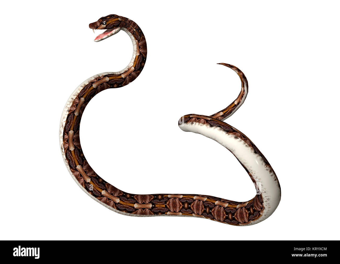 3D-Rendering aus Okumen Viper Snake auf Weiß Stockfoto