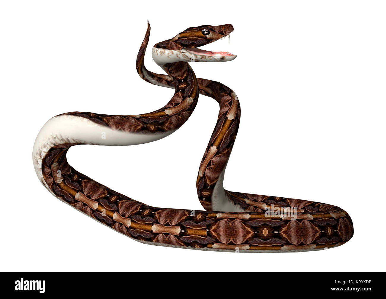 3D-Rendering aus Okumen Viper Snake auf Weiß Stockfoto
