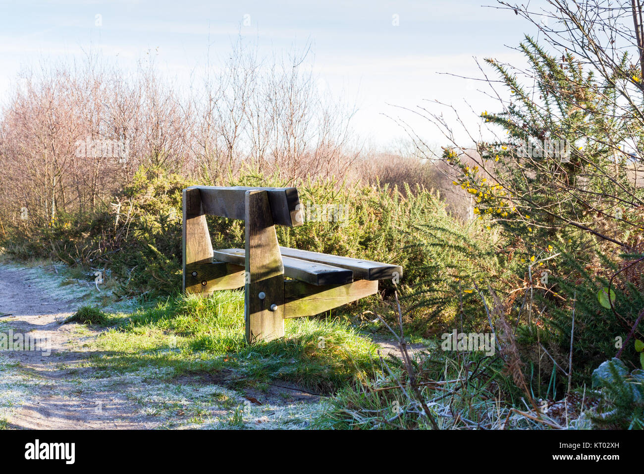 Eine leere Holzbank in einer kalten, sonnigen Wintertag, Dorset, Großbritannien Stockfoto
