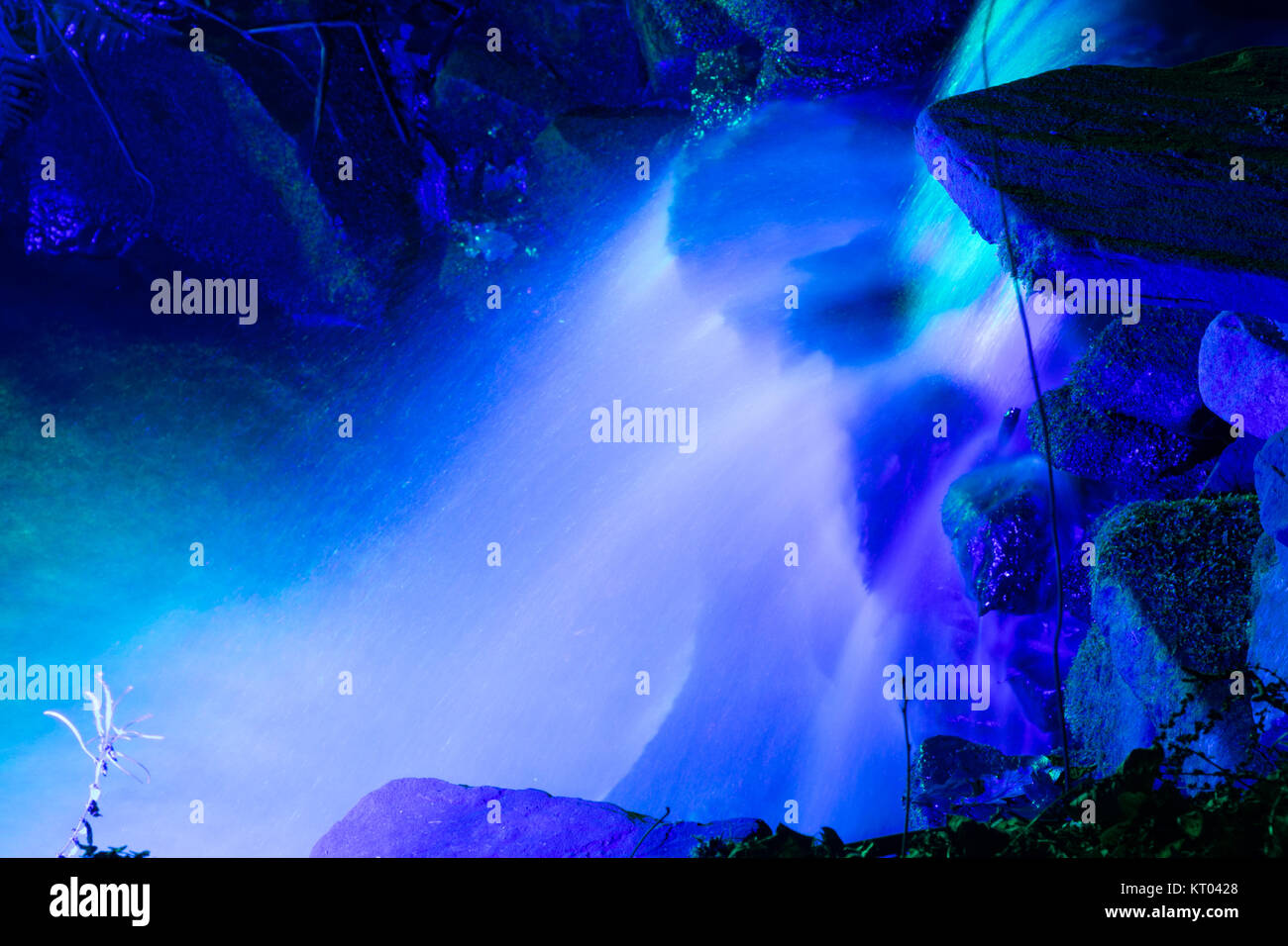 Mit Flutlicht beleuchteten Wasserfall bei RHS Gärten Harlow Carr - Glow Winter Illuminationen, Harrogate, North Yorkshire, England, UK. Stockfoto