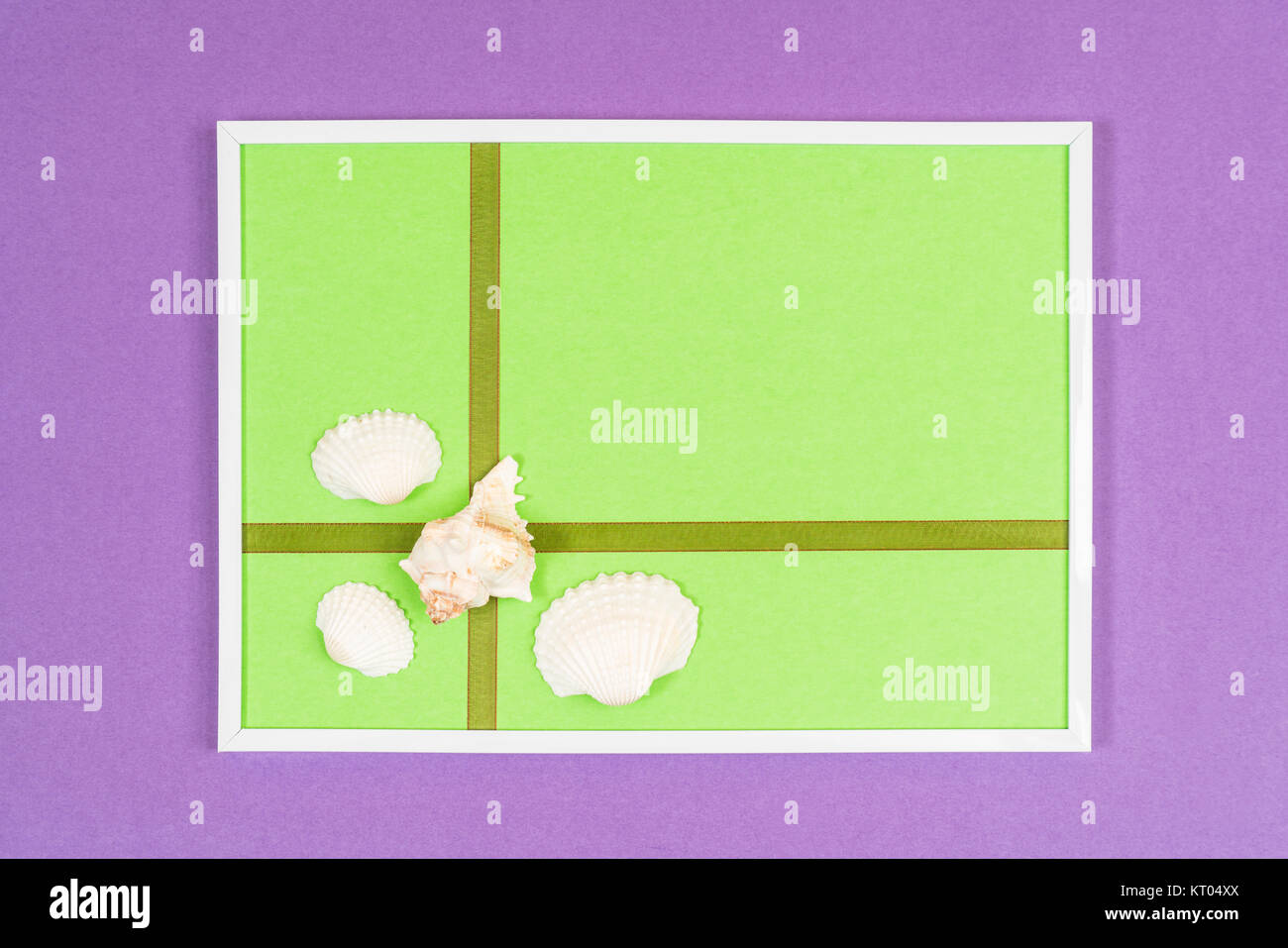 Weiße Muscheln in einem weißen Rahmen auf einem farbigen Hintergrund Stockfoto