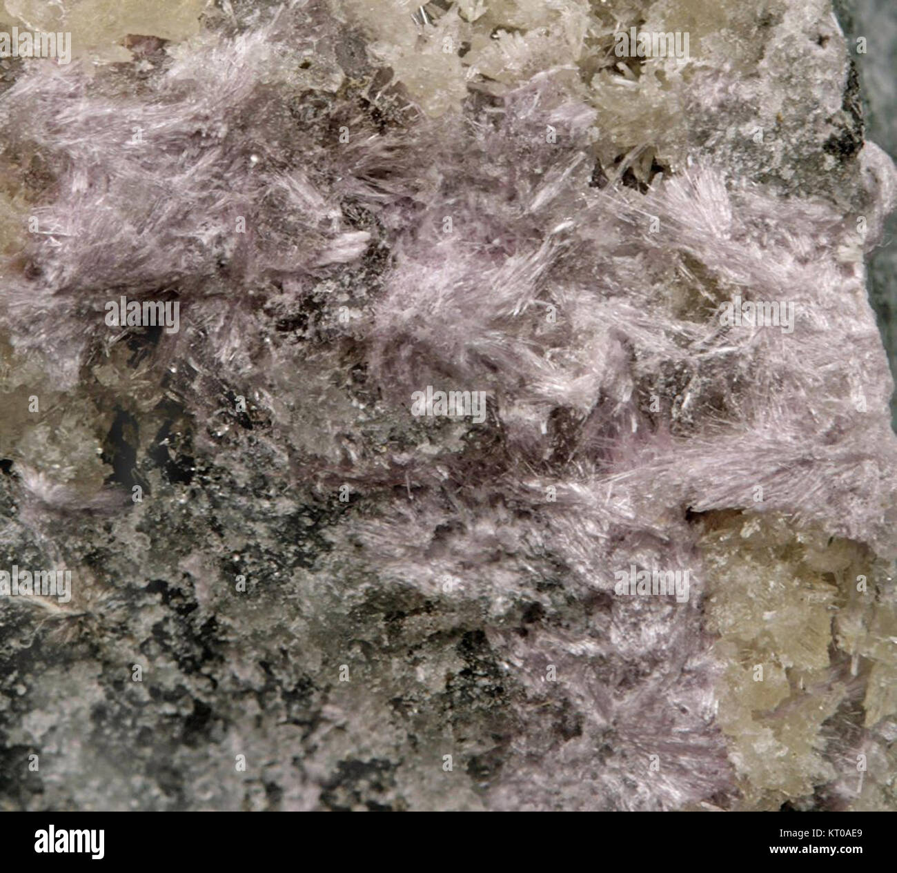 Ashcroftine (Y)-458619 ist eine chemische Verbindung oder ein Produkt, das möglicherweise in der Forschung oder Industrie verwendet wird, wobei eine weitere Klärung seiner Verwendung oder wissenschaftliche Einzelheiten möglicherweise erforderlich sein können. Stockfoto