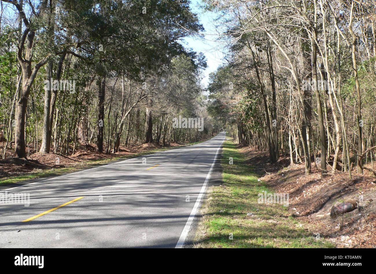 Ashley River Road 2,9 mi n der Bienen Ferry Rd 1. Stockfoto