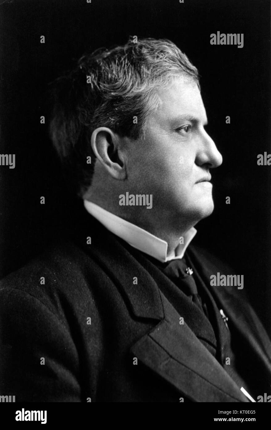 Benjamin Tillman war ein prominenter amerikanischer Politiker im späten 19. Und frühen 20. Jahrhundert, bekannt für seine Rolle in der Politik von South Carolina und seine kontroversen Ansichten über Rasse und Bürgerrechte. Stockfoto