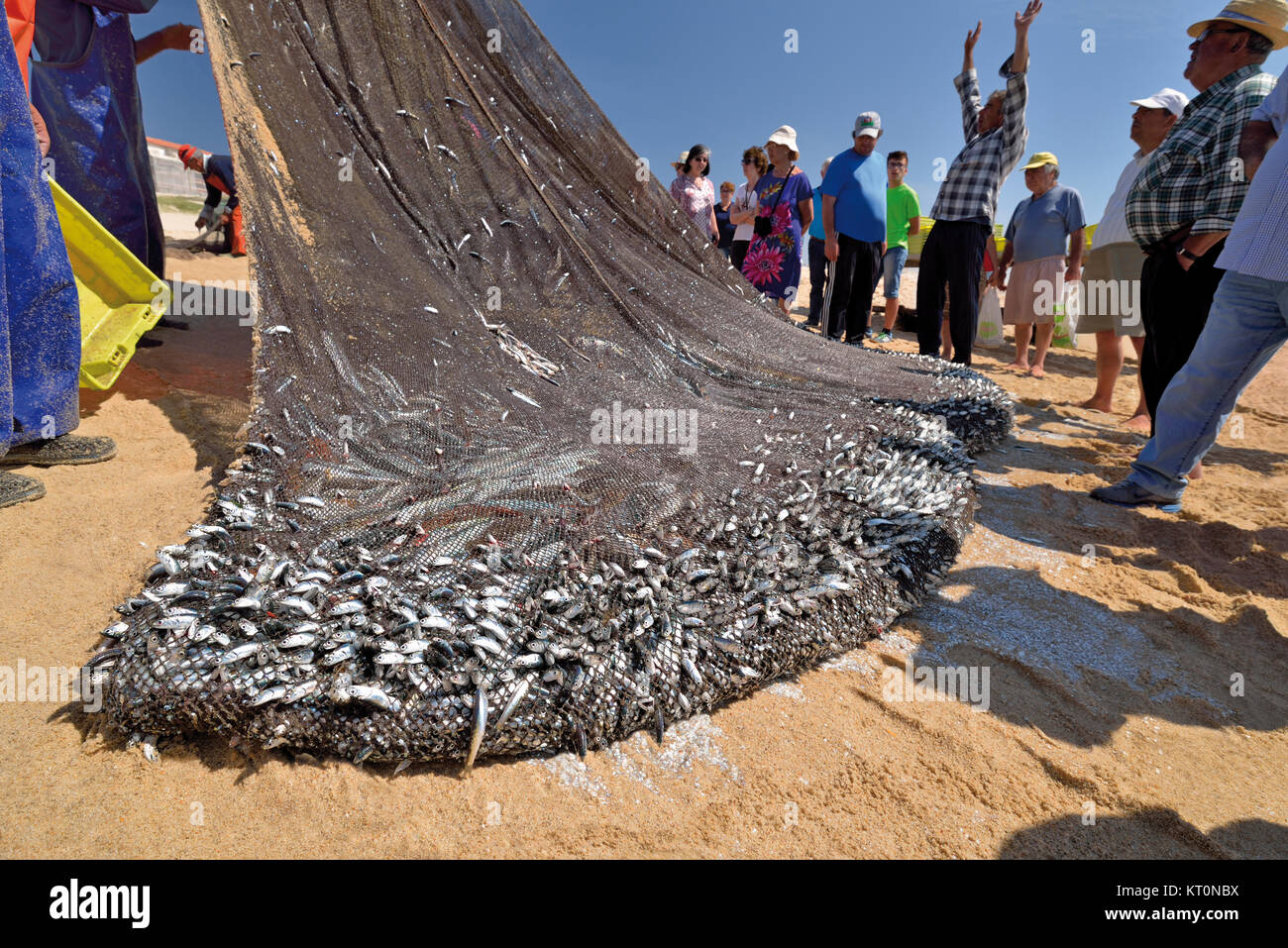 Einheimische Fischer und Touristen um net mit Fisch geladen Stockfoto