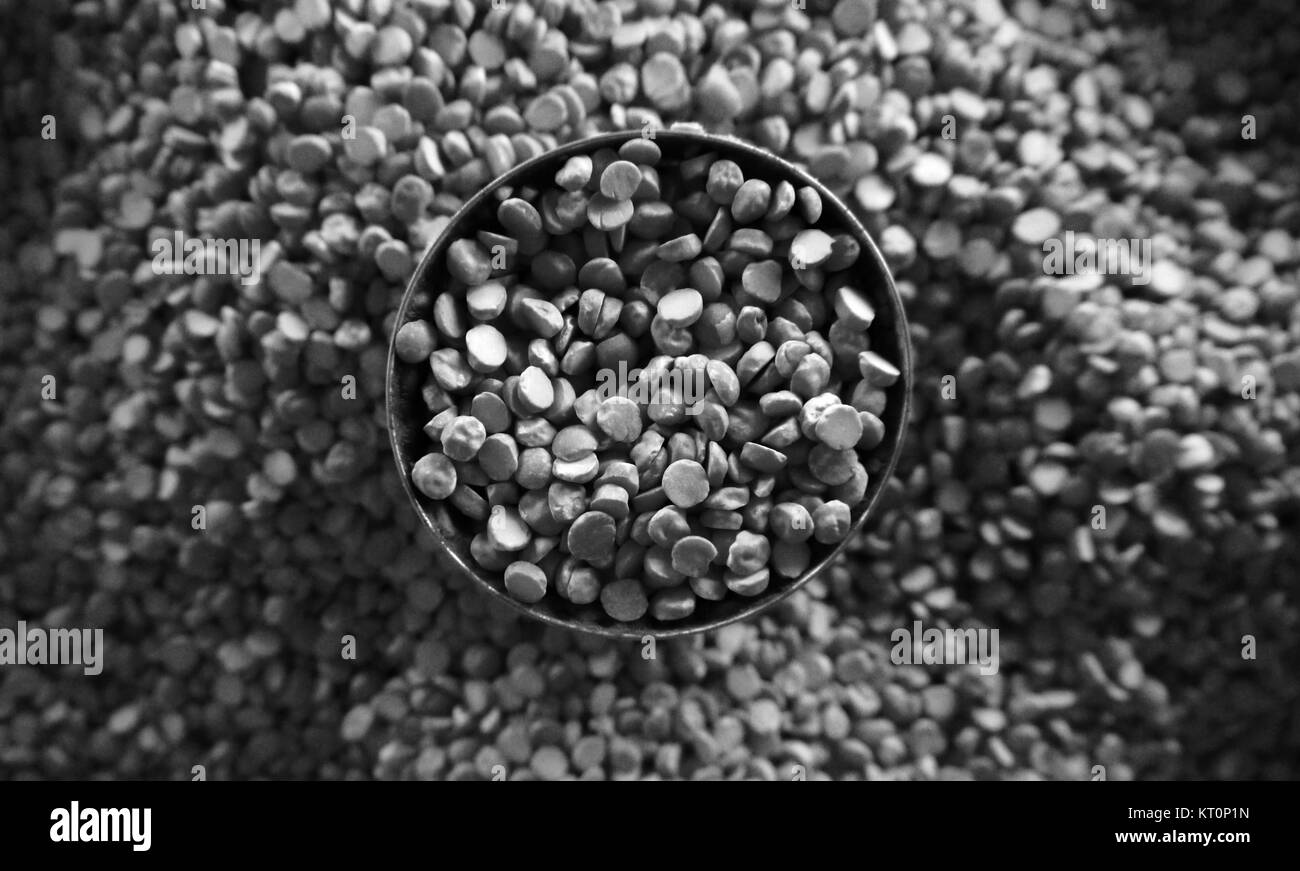 Tasse KICHERERBSEN Stockfoto