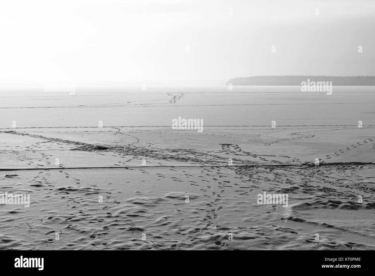 Oberfläche eines gefrorenen Sees unter dem Schnee. Schwarz und weiß. Stockfoto