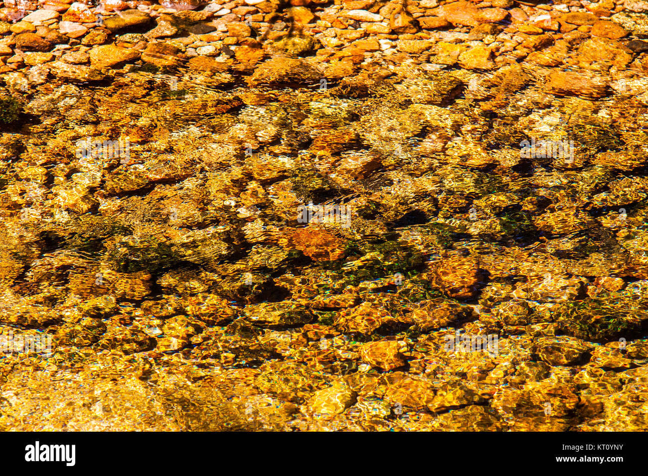 Farbige Steine an der Unterseite einer Mountain River im Sonnenlicht Stockfoto