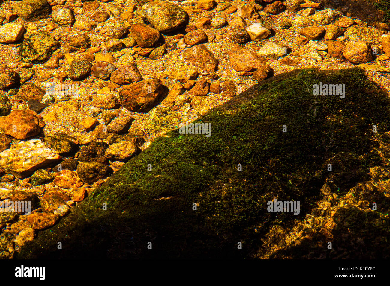 Farbige Steine an der Unterseite einer Mountain River im Sonnenlicht Stockfoto