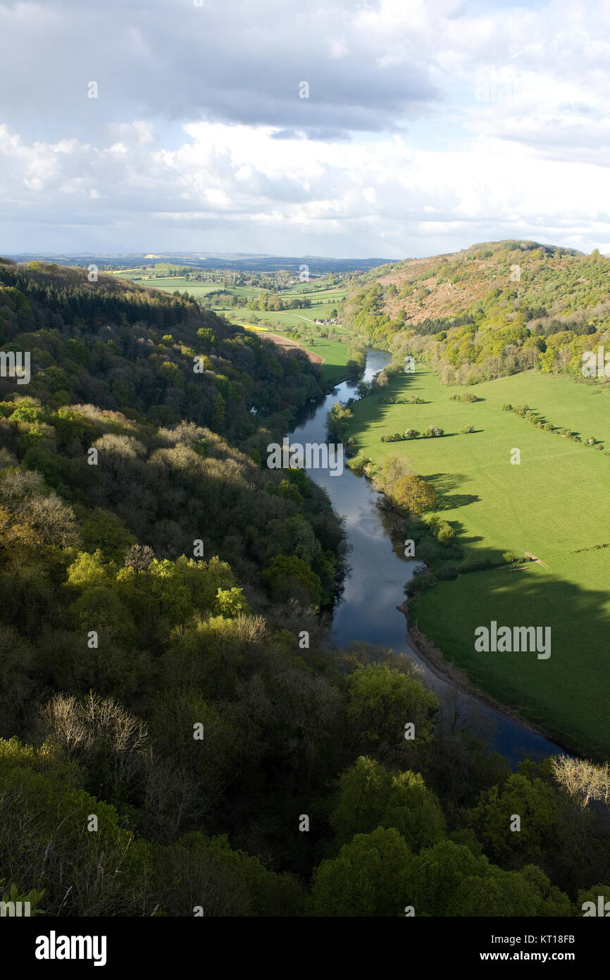 Vista des Flusses Wye aus symond von Yat Rock, Wald von Dean, England Stockfoto