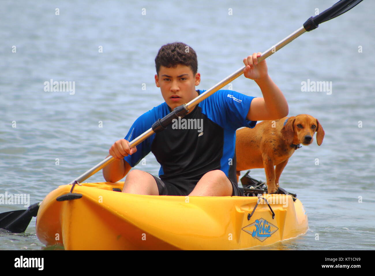 Ein Junge und ein Hund in einem Kanu Stockfoto