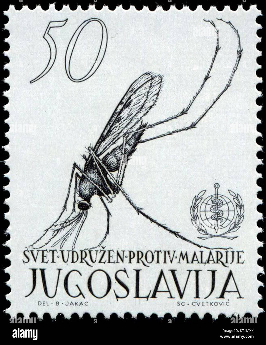 649 CvetkovicYugoslavia AnophelesMosquito 4-7-62-BJakac Stockfoto