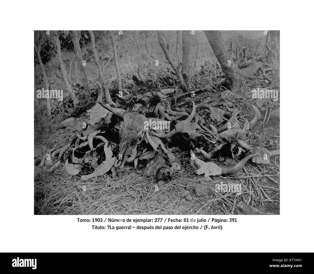 *DespuÃ del paso del ejÃ©rcito* (nach der Passage der Armee) bezieht sich auf ein historisches Ereignis oder eine Szene, die die Folgen der militärischen Präsenz darstellt und möglicherweise seine Auswirkungen auf die Region oder die Bevölkerung widerspiegelt. Stockfoto