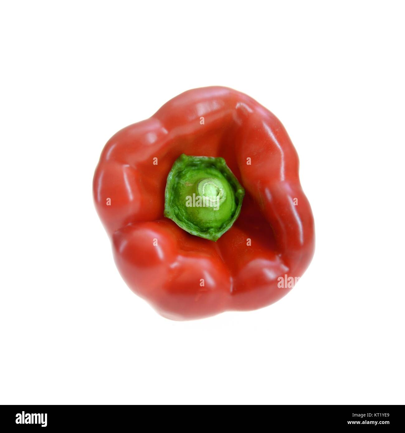 Frische Paprika vor einem einfarbigen Hintergrund isoliert Stockfoto