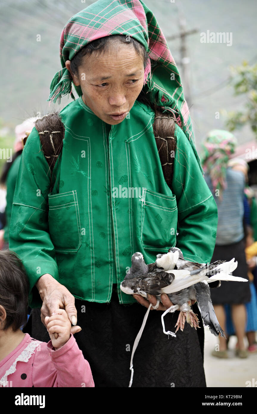 Tribeswoman Holding eine Taube in Meo Vac, Provinz Ha Giang, Vietnam Stockfoto