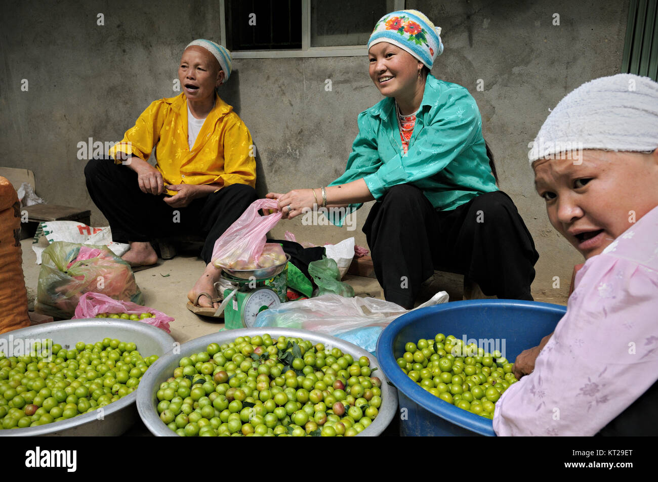 Rasierte Frauen Früchte verkaufen im Norden von Vietnam Stockfoto