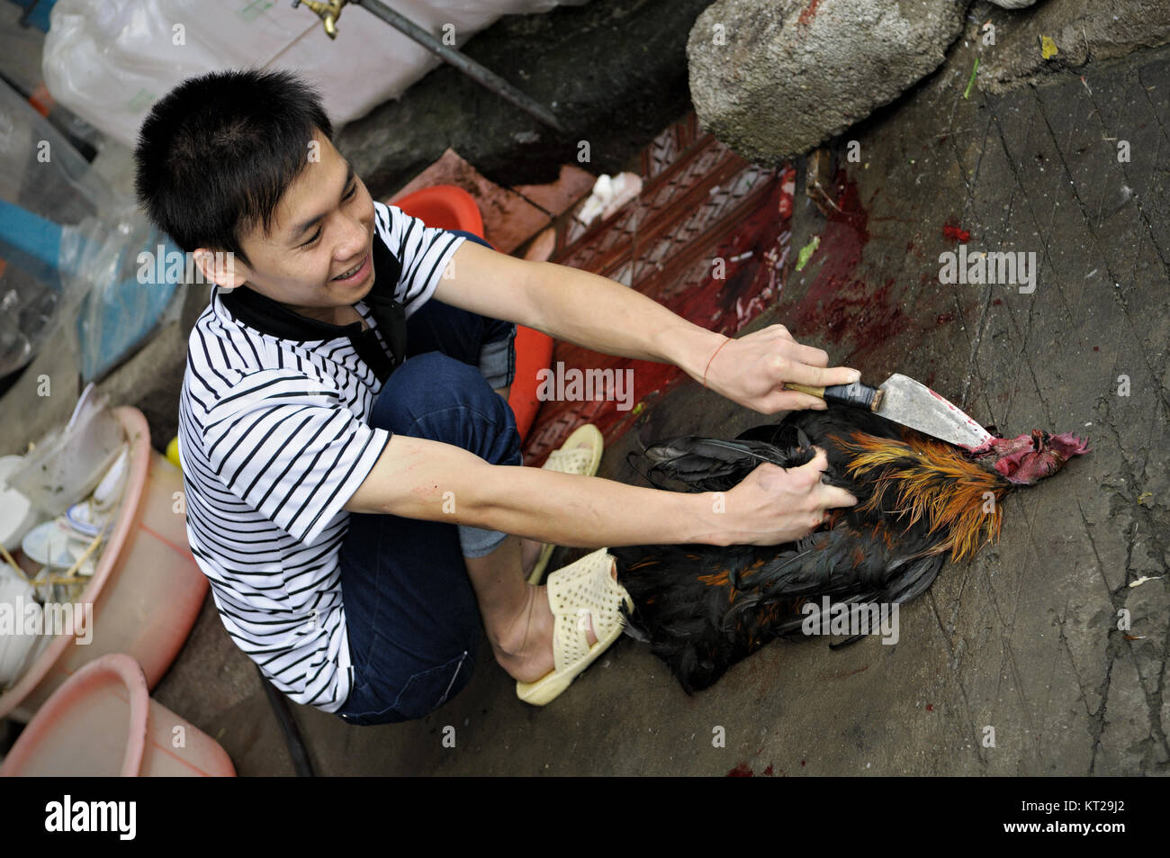 Junger Mann töten einen Hahn mit einem Messer bei Meo Vac, Provinz Ha Giang, Vietnam Stockfoto