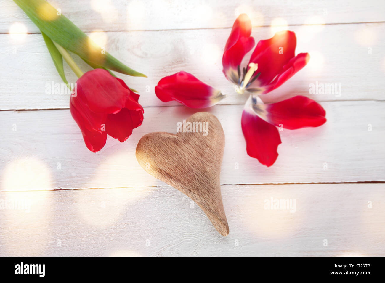Rote Tulpen mit Herz und Bokeh für Muttertag auf weißem Hintergrund Stockfoto