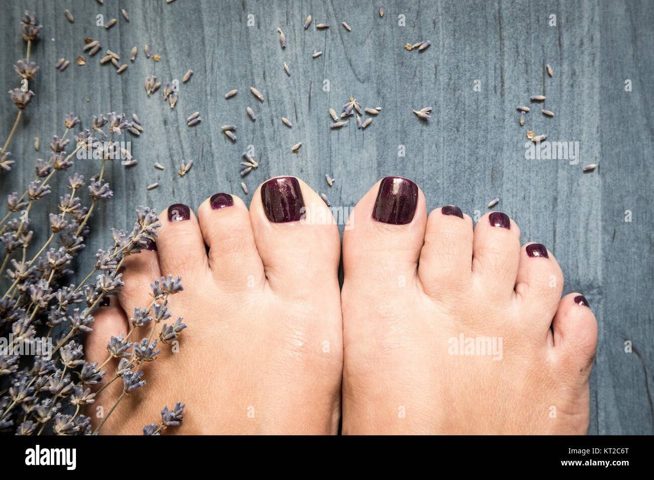Nahaufnahme eines weiblichen Füße mit Pediküre auf Nägeln und Lavendel. Im Spa Salon. Beine Care Concept Stockfoto