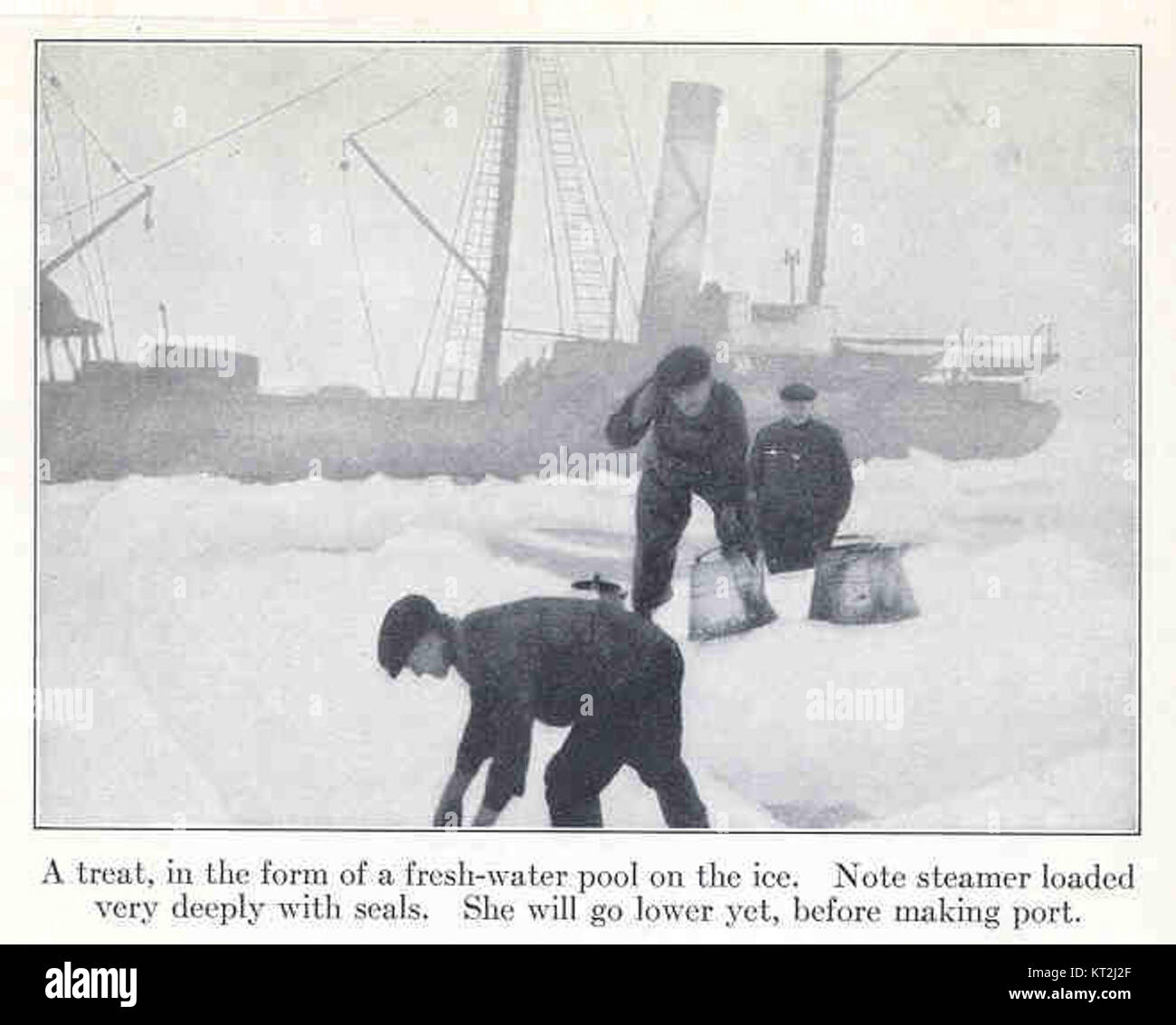 Dieses Bild zeigt einen Dampfgarer, der stark mit Dichtungen auf einem gefrorenen Gewässer beladen ist, wahrscheinlich in einer kalten, nördlichen Region. Das Schiff bereitet sich auf die Fahrt über Eis vor, wobei ein Süßwasserpool auf der Eisoberfläche festgehalten wird. Stockfoto
