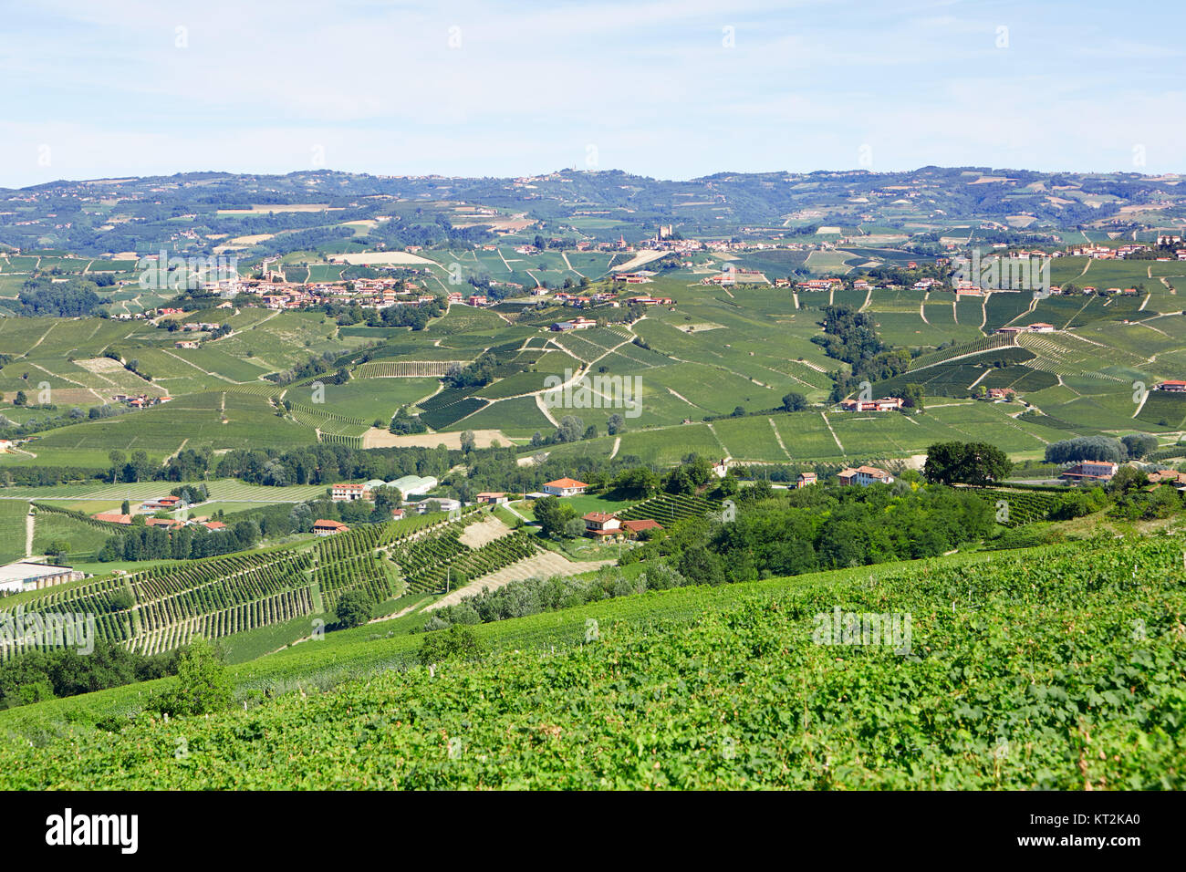 Piedmont Hügeln mit Weinbergen an einem sonnigen Tag in Italien Stockfoto