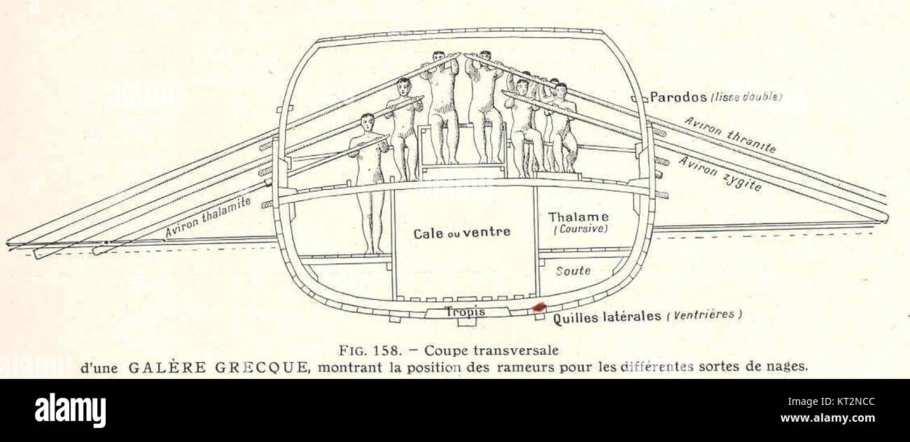 37038 Coupe Transversale d ' une galère Grecque, Montrant la Position des Rameurs pour Les Differentes Sortes de nages Stockfoto