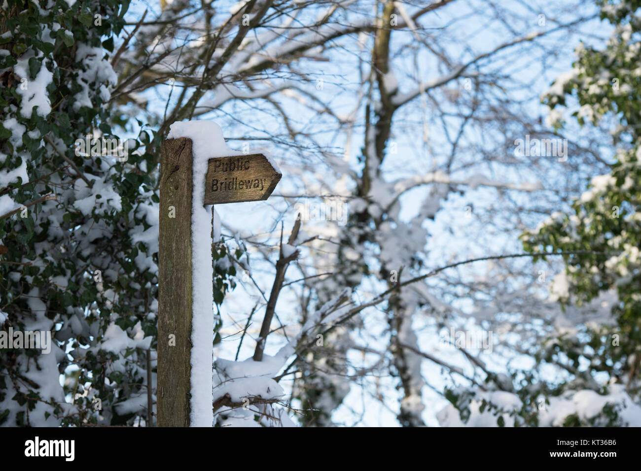 Öffentliche bridalway Anmelden Schnee bedeckt. Lower Dean, Cotswolds, Gloucestershire, England Stockfoto