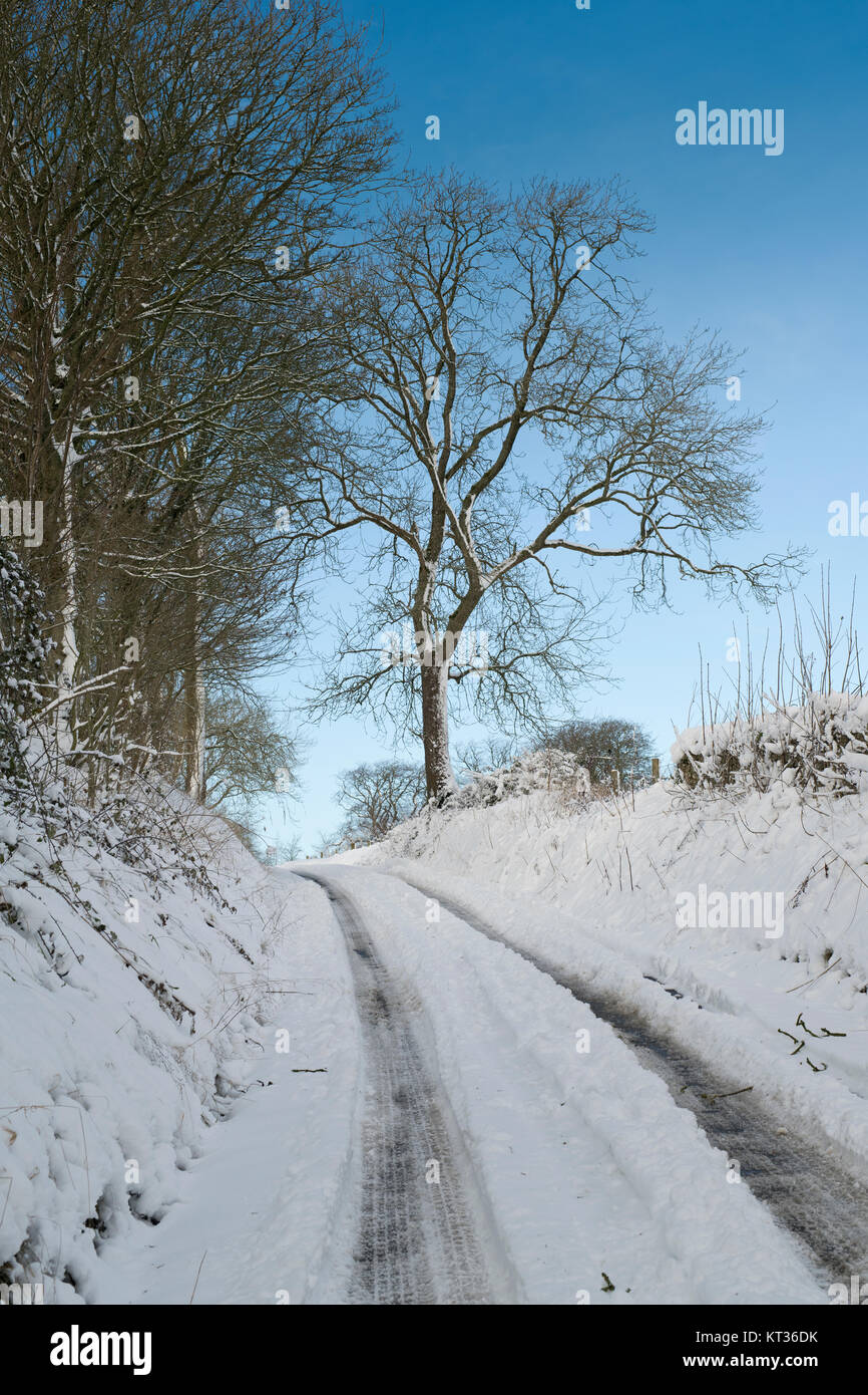 Schneebedeckte Landstraße in chedworth Dorf im Dezember. Chedworth, Cotswolds, Gloucestershire, England Stockfoto