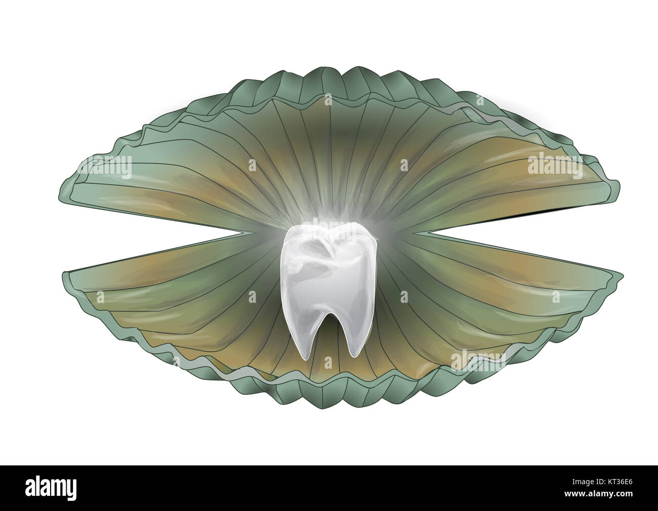 Shell mit Zähnen Stockfoto