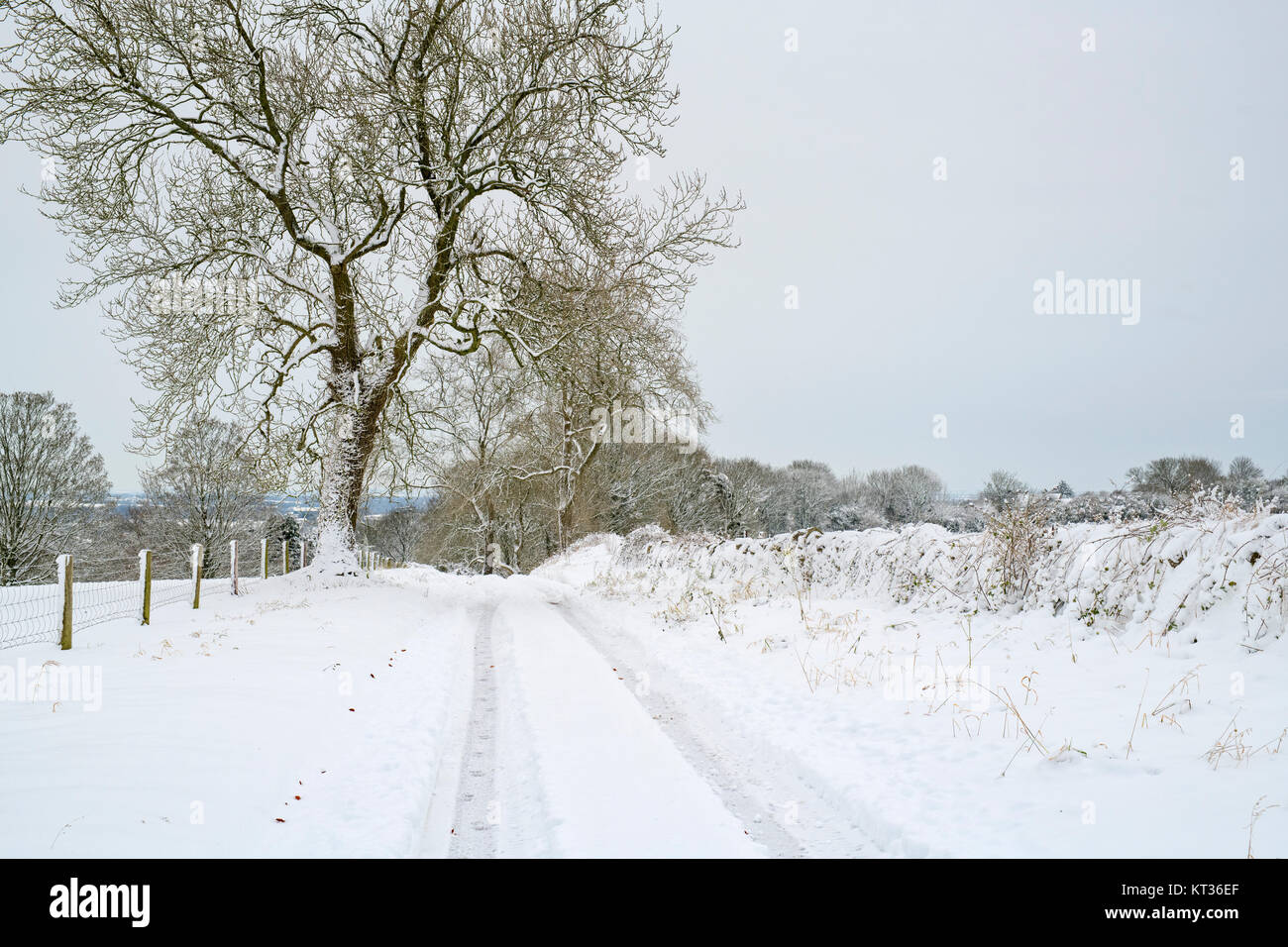 Schneebedeckte Landstraße in chedworth Dorf im Dezember. Chedworth, Cotswolds, Gloucestershire, England Stockfoto
