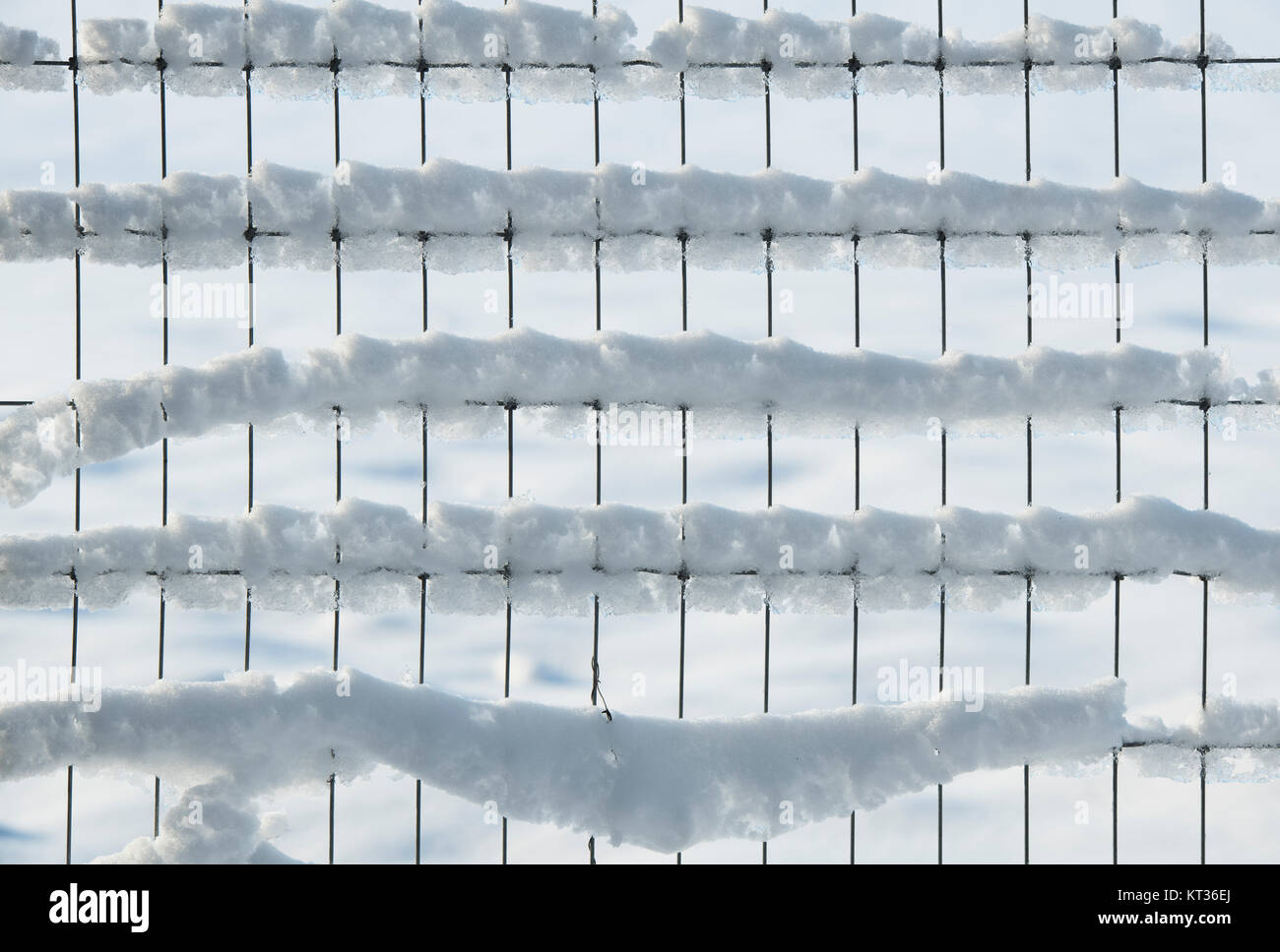 Schnee an einem Zaun in den Cotswolds. UK. Abstraktes Muster Stockfoto