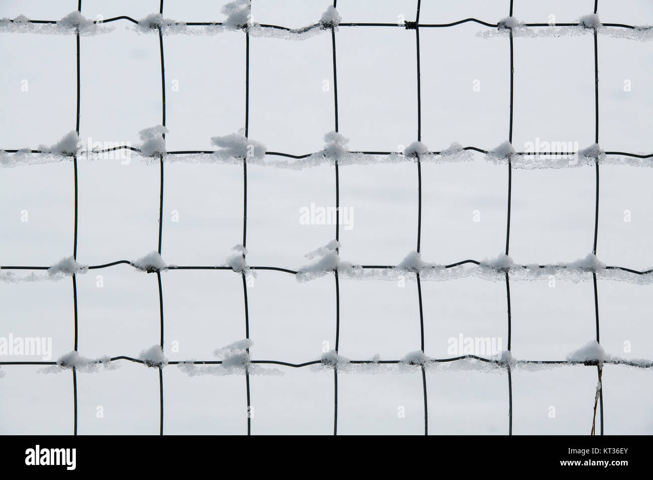 Schnee an einem Zaun in den Cotswolds. UK. Abstraktes Muster Stockfoto