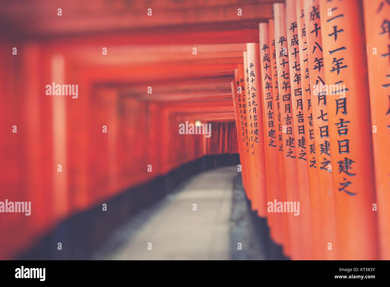 Fushimi Inari-Taisha-Schrein in Kyōto, Japan Stockfoto