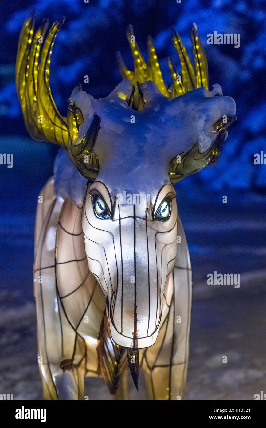 Elektrische Elch im Winter der Calgary Zoo Zoolights Veranstaltungsort Stockfoto