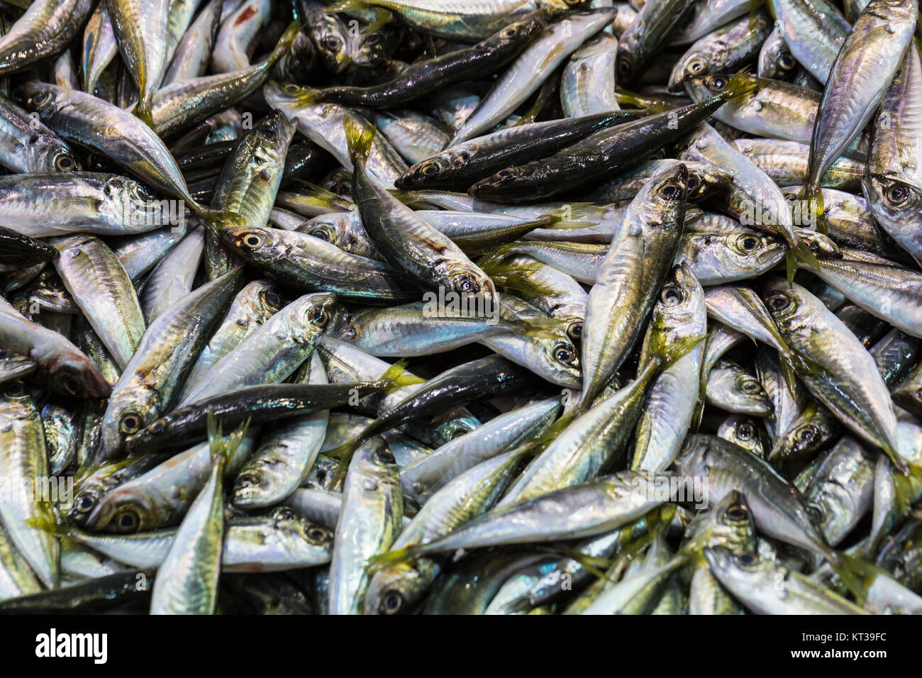 Fischmarkt, Galata Waterfront, Istanbul Stockfoto