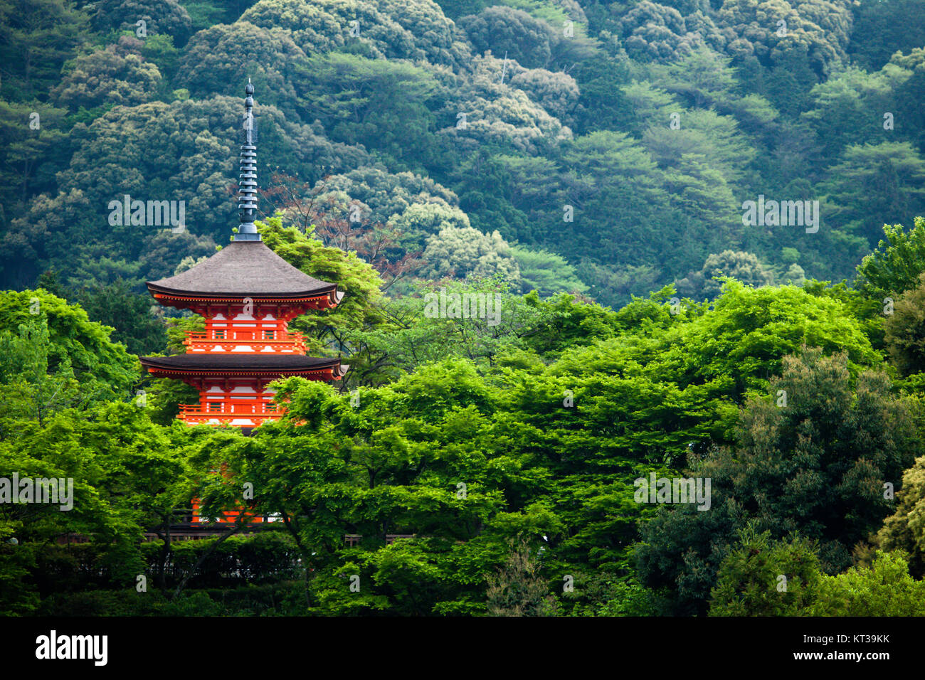 Dreistöckige Pagode am Taisan-Ji-Tempel in der Nähe Kiyomizu-Dera-Tempel in Kyoto Stockfoto