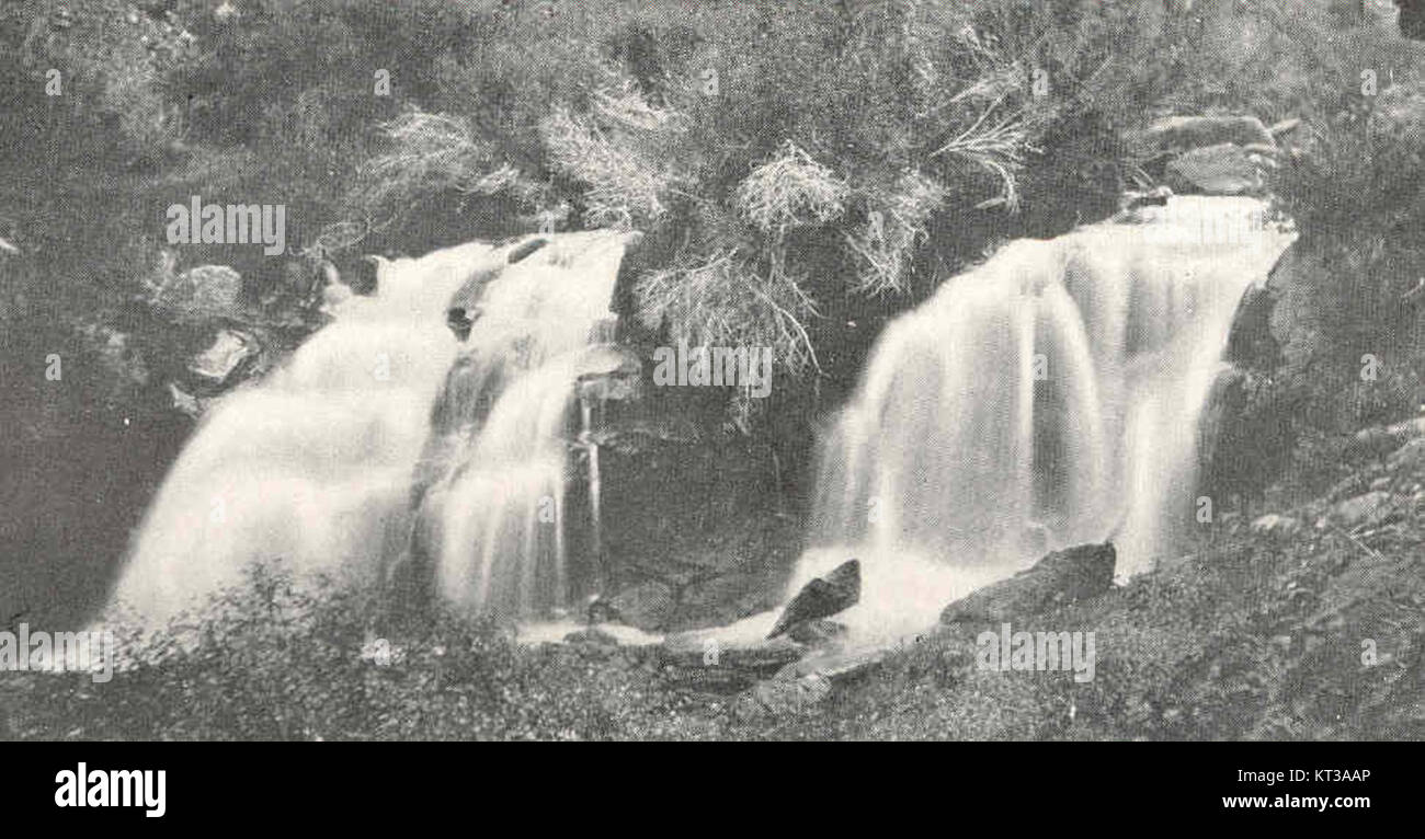 39557 Twin Falls, Vulkan Creek, knapp unterhalb der ersten Trail-Kreuzung; Höhe ca. 18 Fuß Stockfoto