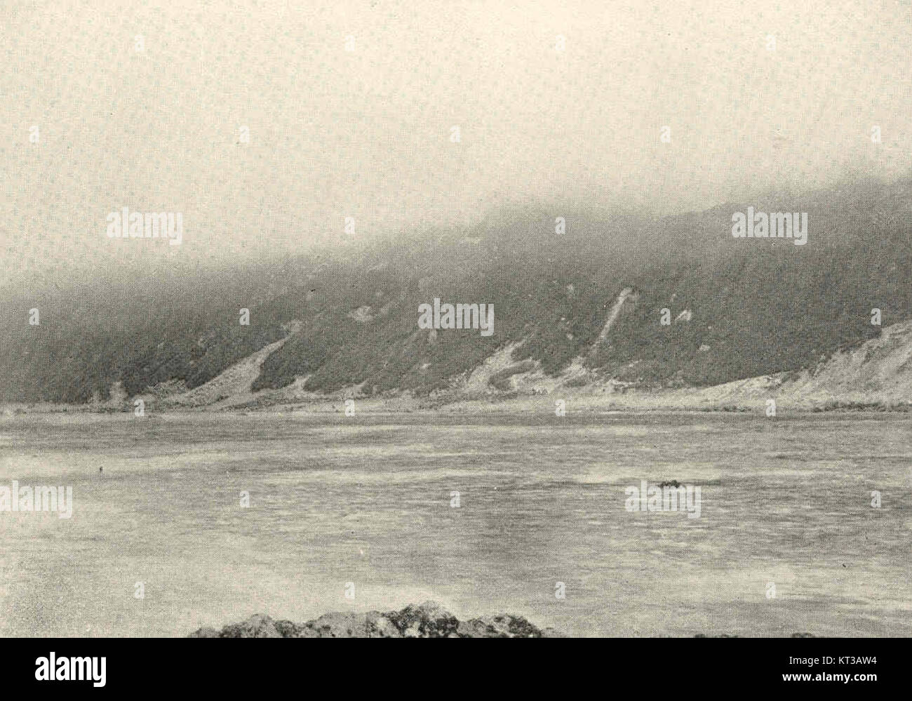 39912 Palata Rookery, Kupfer IslandLooking in Richtung Sabatcha Dira, 2. August 1895 Stockfoto