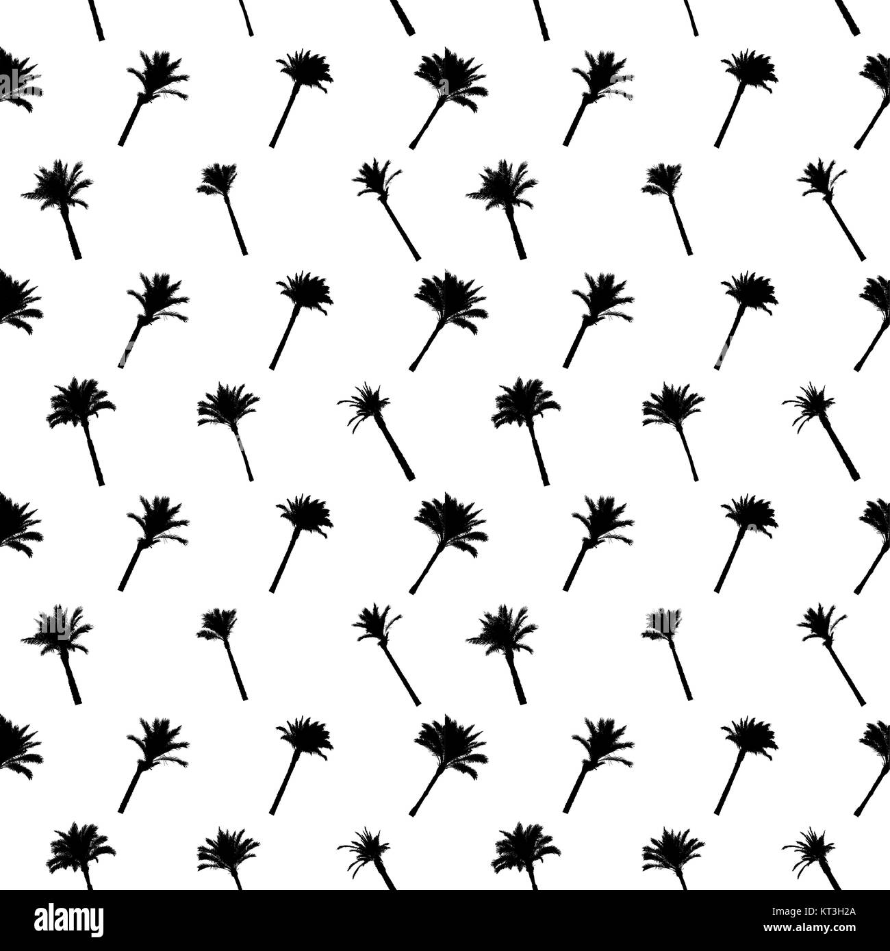 Silhouette von Palmen auf weißem Hintergrund. Nahtlose Muster. Stock Vektor