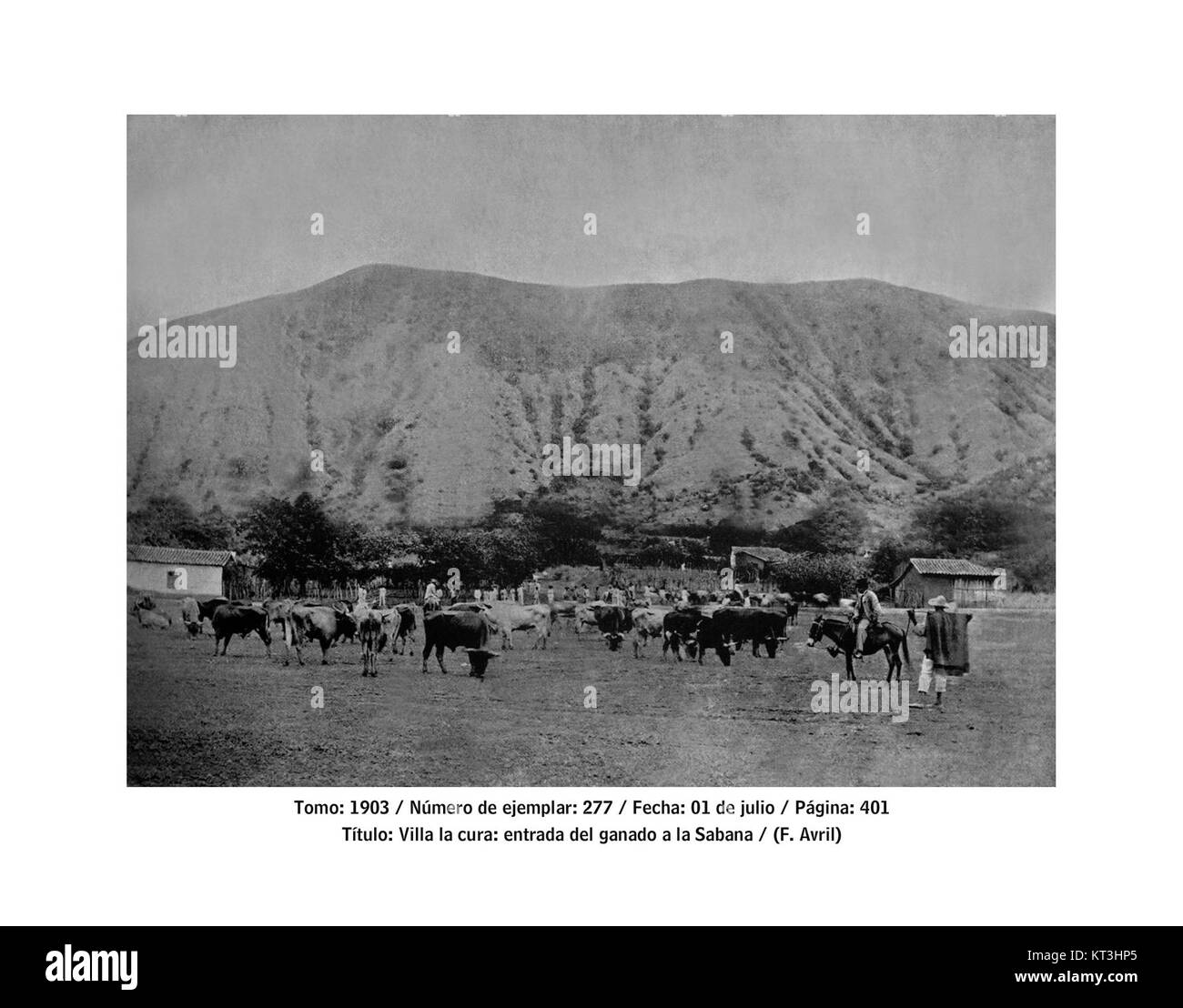 Ganado ist eine Stadt in der Gemeinde Villa de Cura in Venezuela. Die Region ist bekannt für ihre landwirtschaftliche Produktion, insbesondere die Viehzucht, und spielt eine wichtige Rolle in der lokalen Wirtschaft. Das Gebiet ist auch für seine historische und kulturelle Bedeutung bekannt, mit einer wachsenden Gemeinde und Infrastruktur. Stockfoto