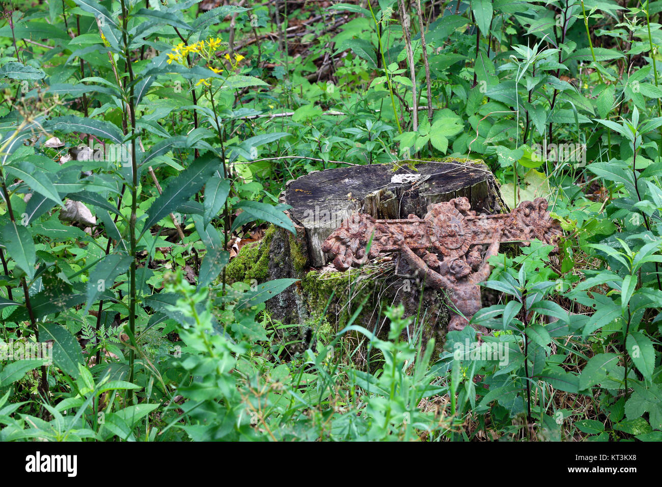 Alten rostigen Kreuz mit Jesus im Wald verloren Stockfoto
