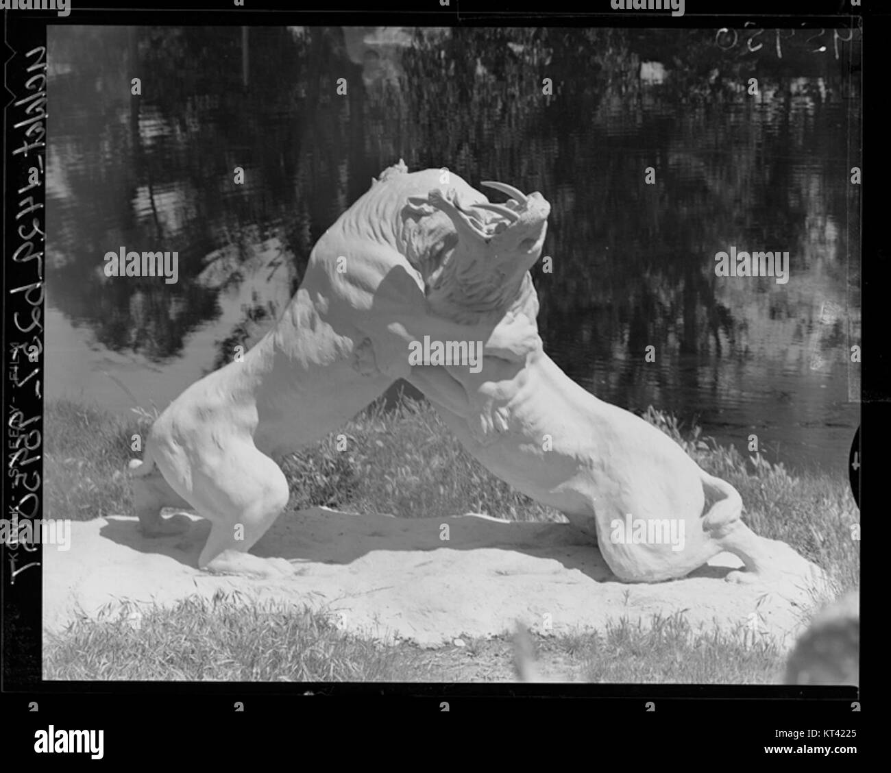 Die Teergruben La Brea in Los Angeles, Kalifornien, sind bekannt für ihre fossilen Überreste prähistorischer Tiere, darunter den ausgestorbenen Säbelzahntiger. In diesen Teergruben wurden die Überreste großer Raubtiere wie des Tigers aufbewahrt, was wichtige Einblicke in die pleistozäne Epoche und die alten Ökosysteme bietet. Stockfoto