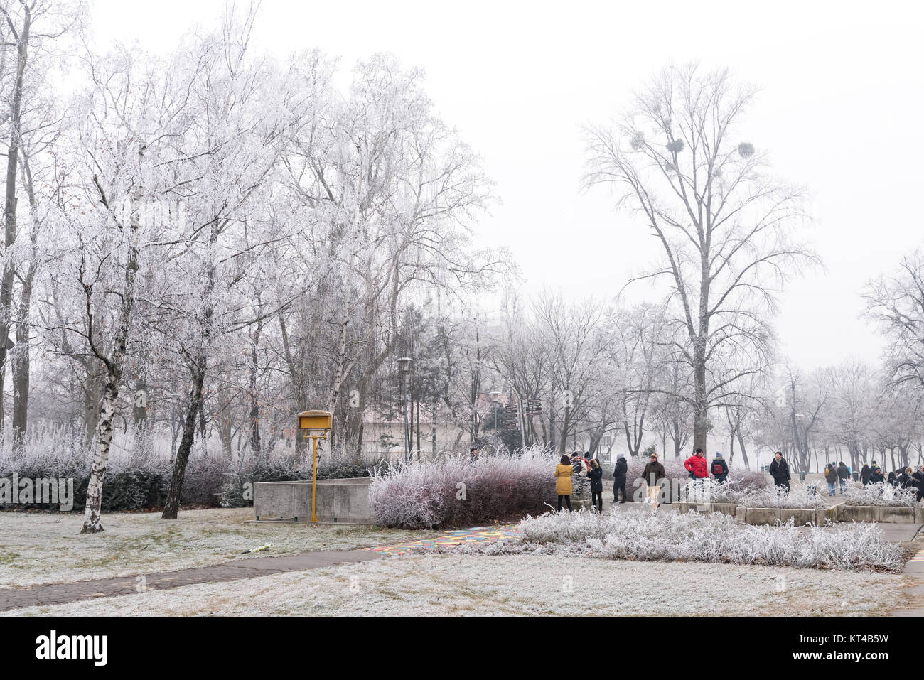 Bäumen bedeckt mit einer dünnen Schicht aus Eis und Schnee bei sehr kalten Tag, Budapest, Ungarn Stockfoto