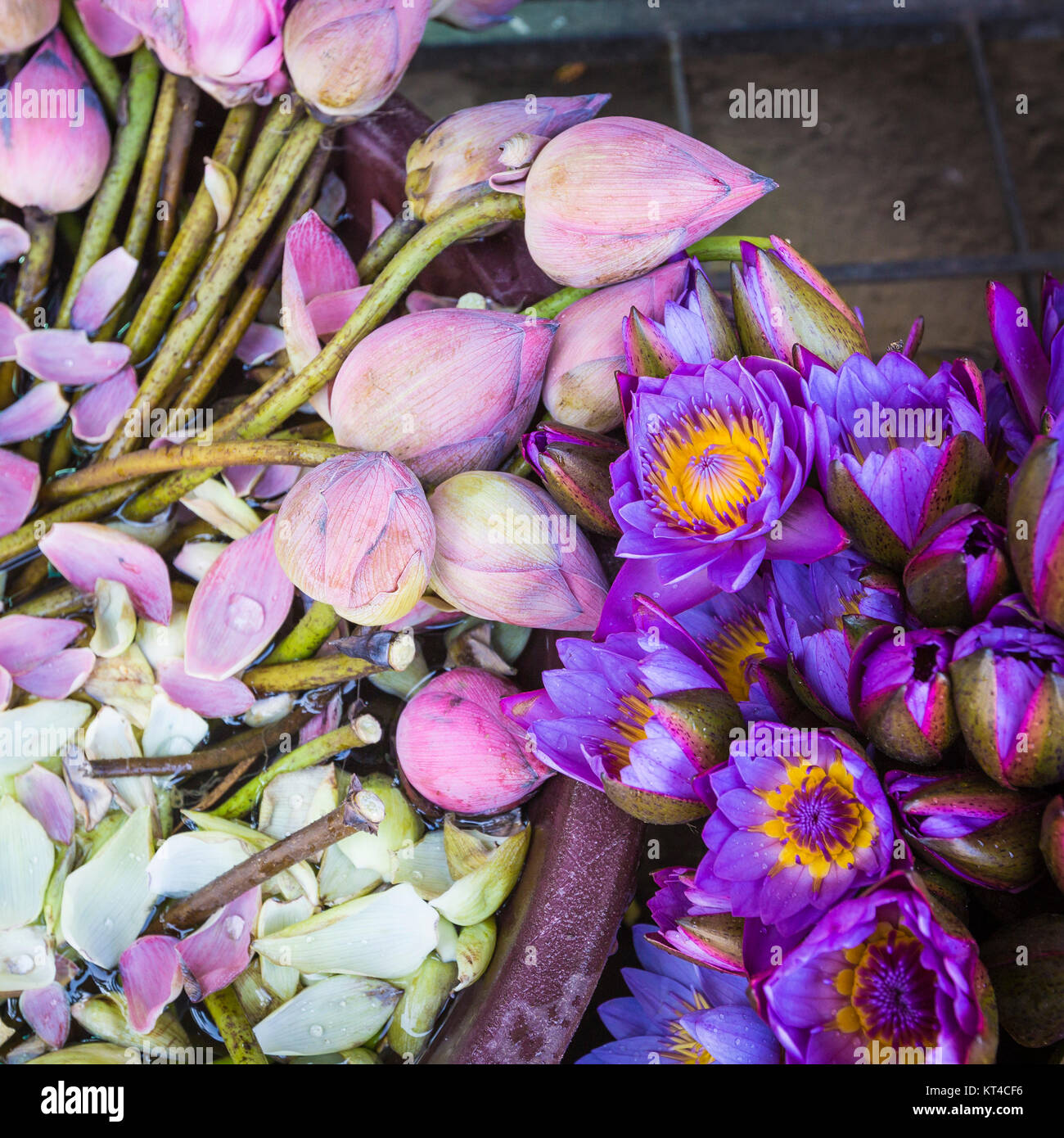 Blumen verkauft als Opfergaben vor dem Tempel der Zahntempel in Kandy (Sri Lanka) verwendet werden. Stockfoto