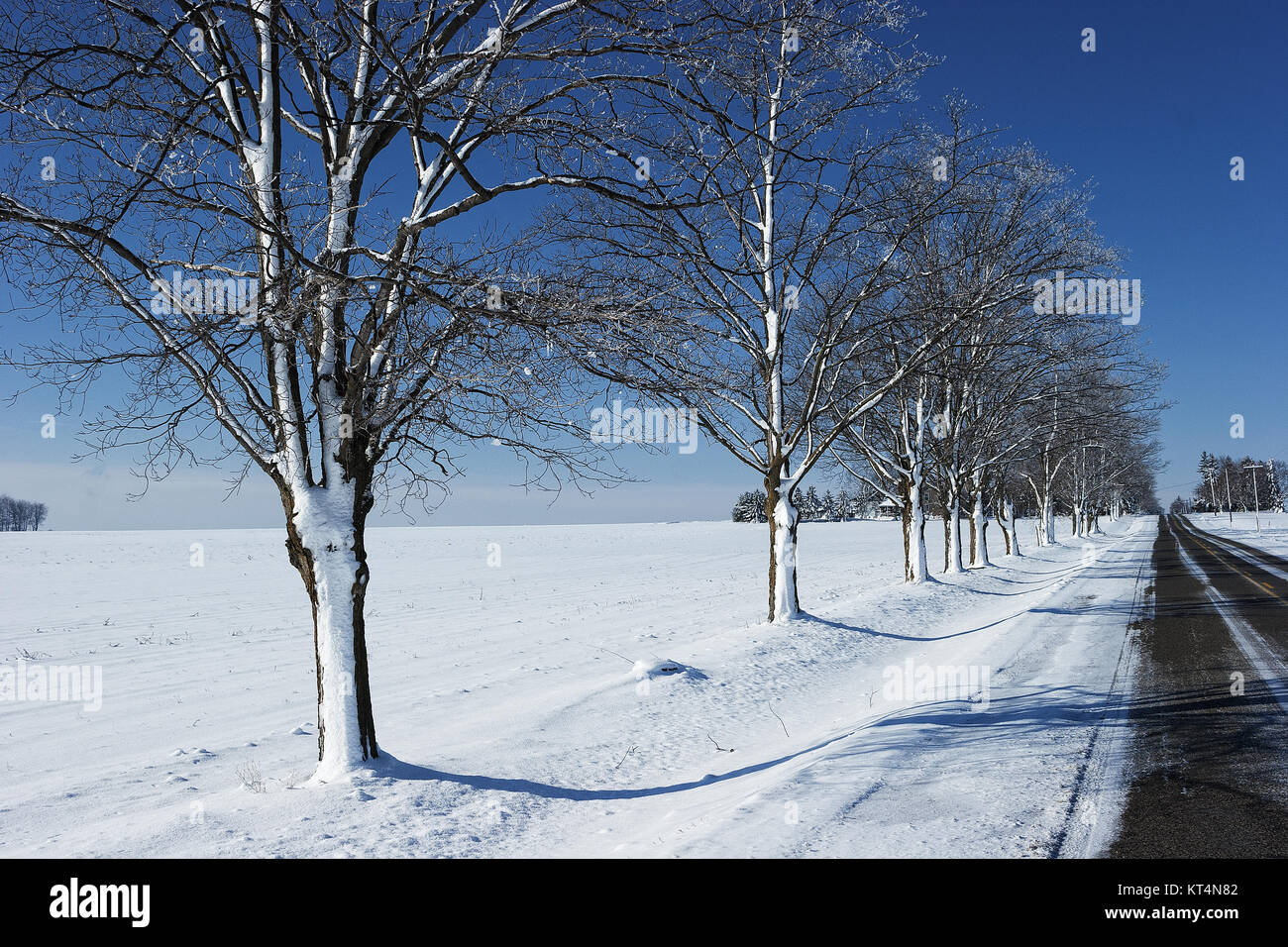 Gepflasterte Fahrbahn im winter Stockfoto