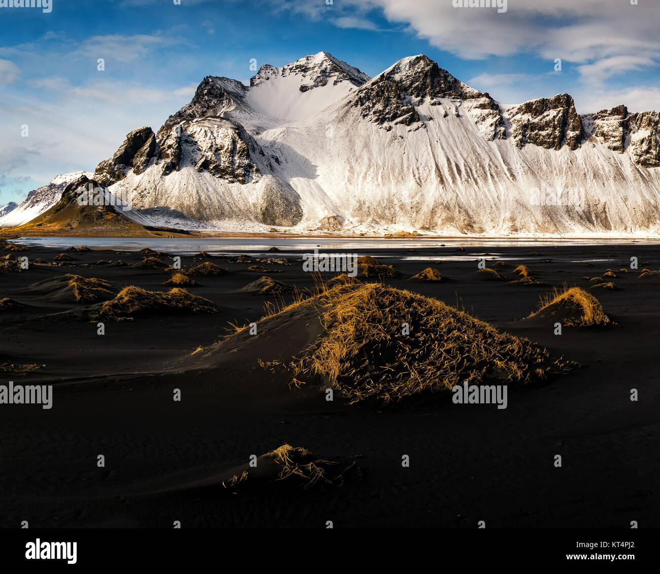 Goldene Gräser markieren tiefen schwarzen Sanddünen in der Expansiven Vordergrund Strand von Stokknes, Schnee, bedeckt Vestrahorn Stockfoto