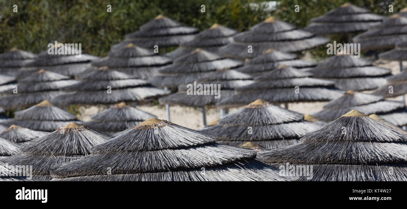 Detail der geflochtenen Sonnenschirme über Reihen am Strand in Zypern. Stockfoto